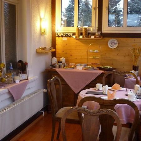 Pension Elchlepp Radebeul Esterno foto